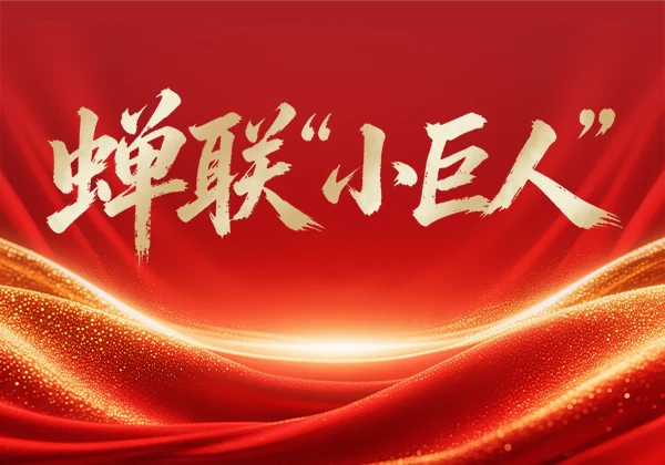 蝉联“小巨人”｜金能电力再度通过国家级专精特新企业复审